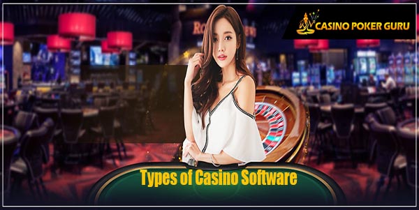 types of casino software